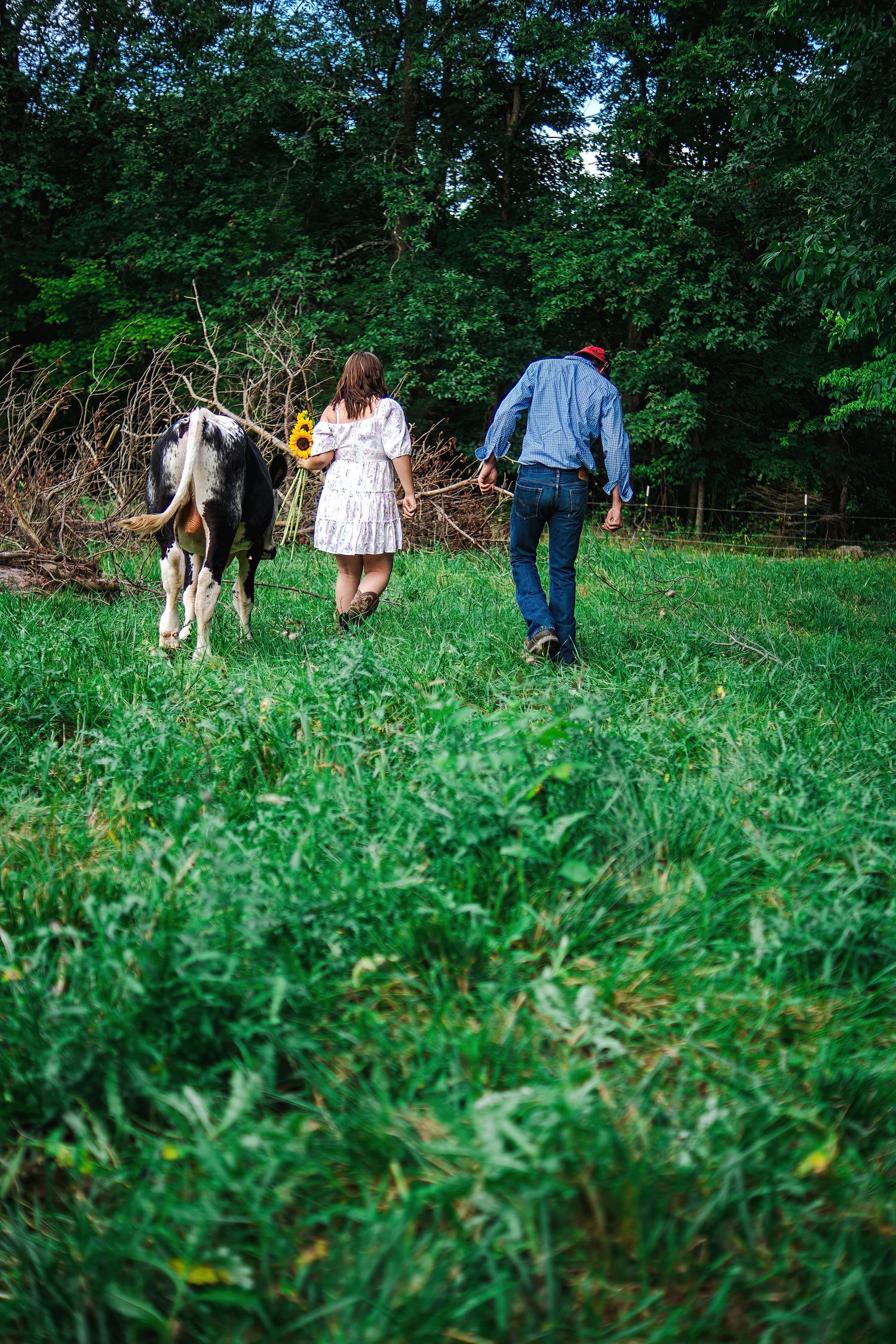 People walking with a black and white cow through a lush green field.