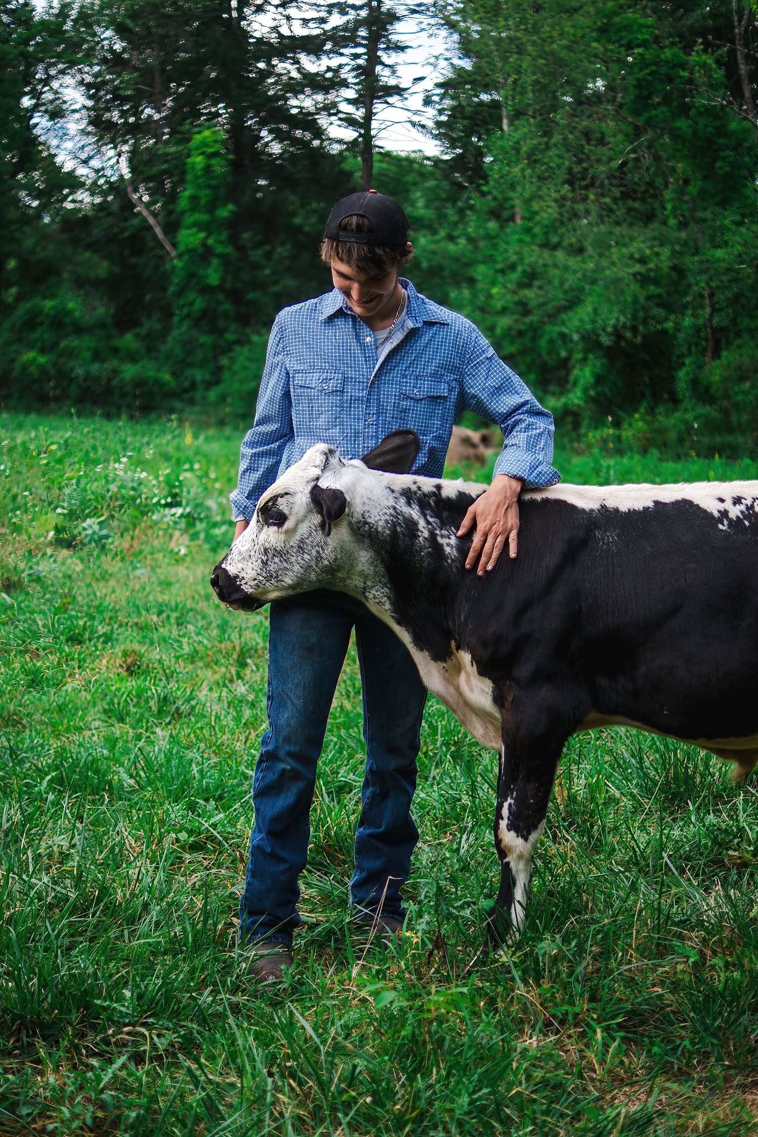 Person in denim petting a black and white cow in a grassy field.