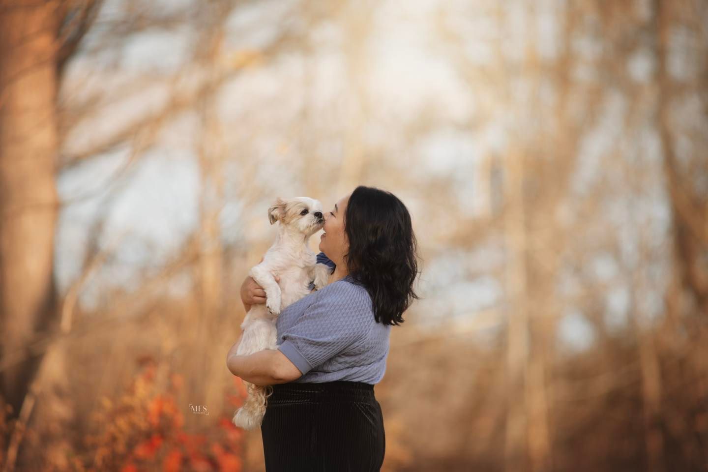 human-dog-photoshoot
dog-portrait-photoshoot
senior-dog-photoshoot
rainbow-bridge-photoshoot