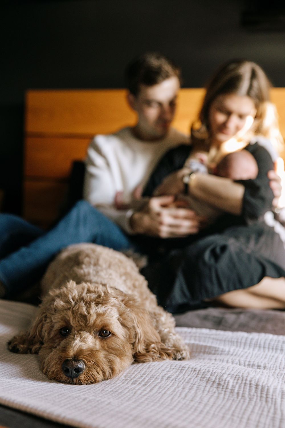 In-home newborn photoshoot