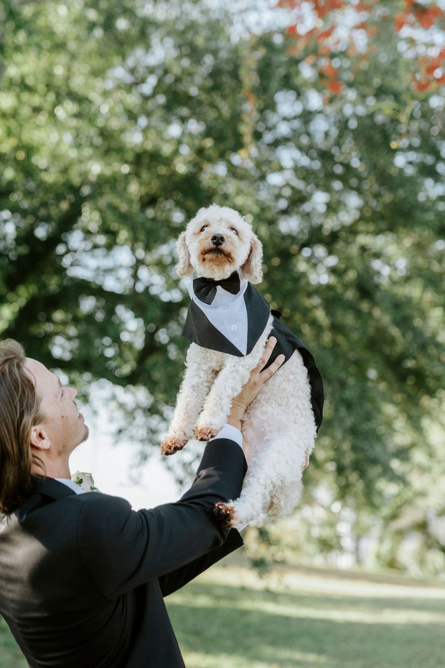A couple in formal wedding attire playfully lifts their small white dog together in a sunny outdoor garden setting.