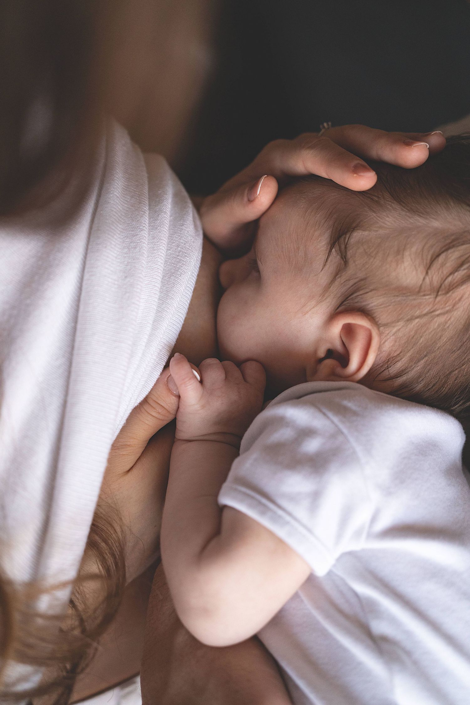 allattamento, neonato, mamma che allatta al seno il neonato