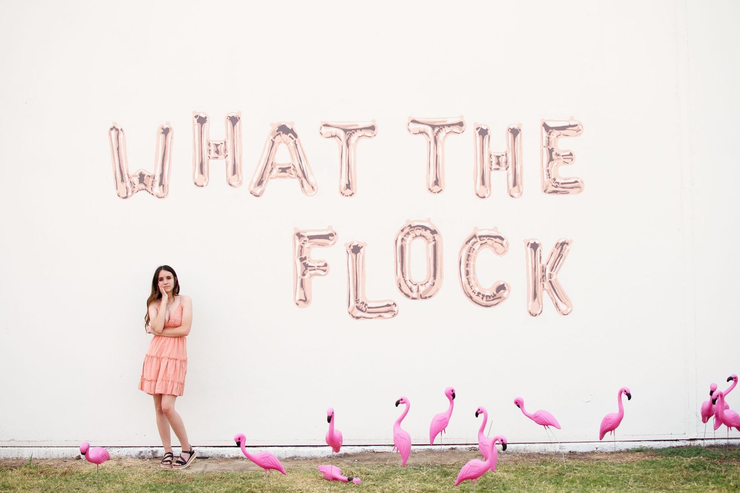 Balloon lettering spells out 'WHAT THE FLOCK' with decorative pink flamingos along the bottom. Inspiration Alley Senior Session