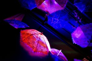 Illuminated decorative umbrellas in pink and blue lighting create an artistic ceiling display.