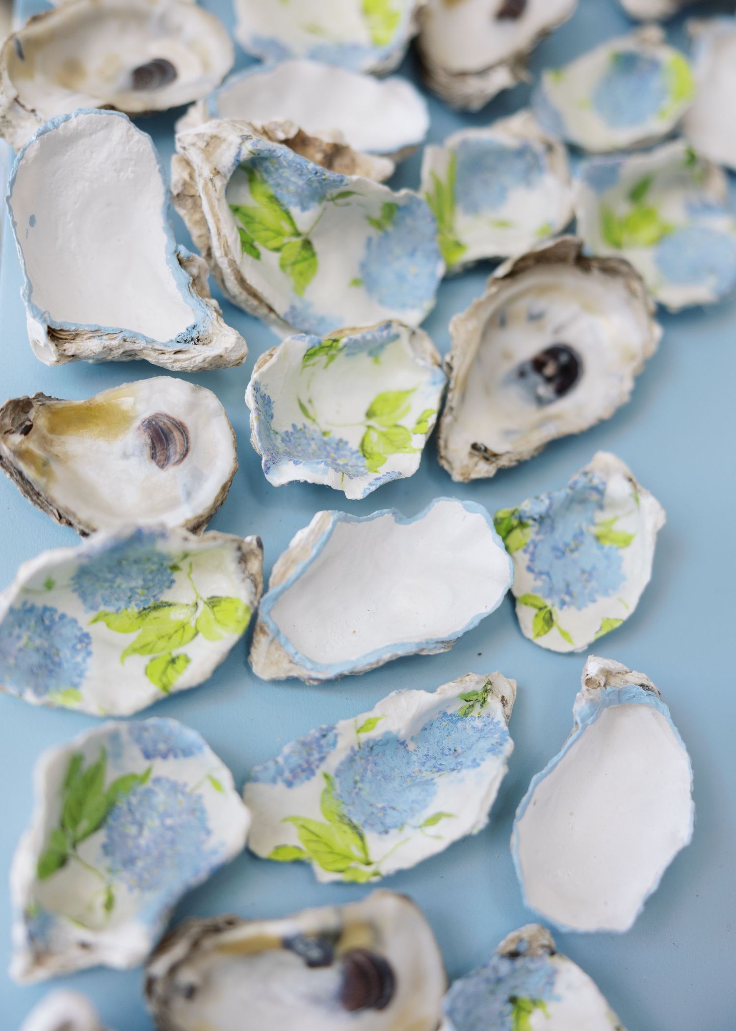 Oyster shells painted with blue hydrangeas and green leaves arranged on a light blue surface.