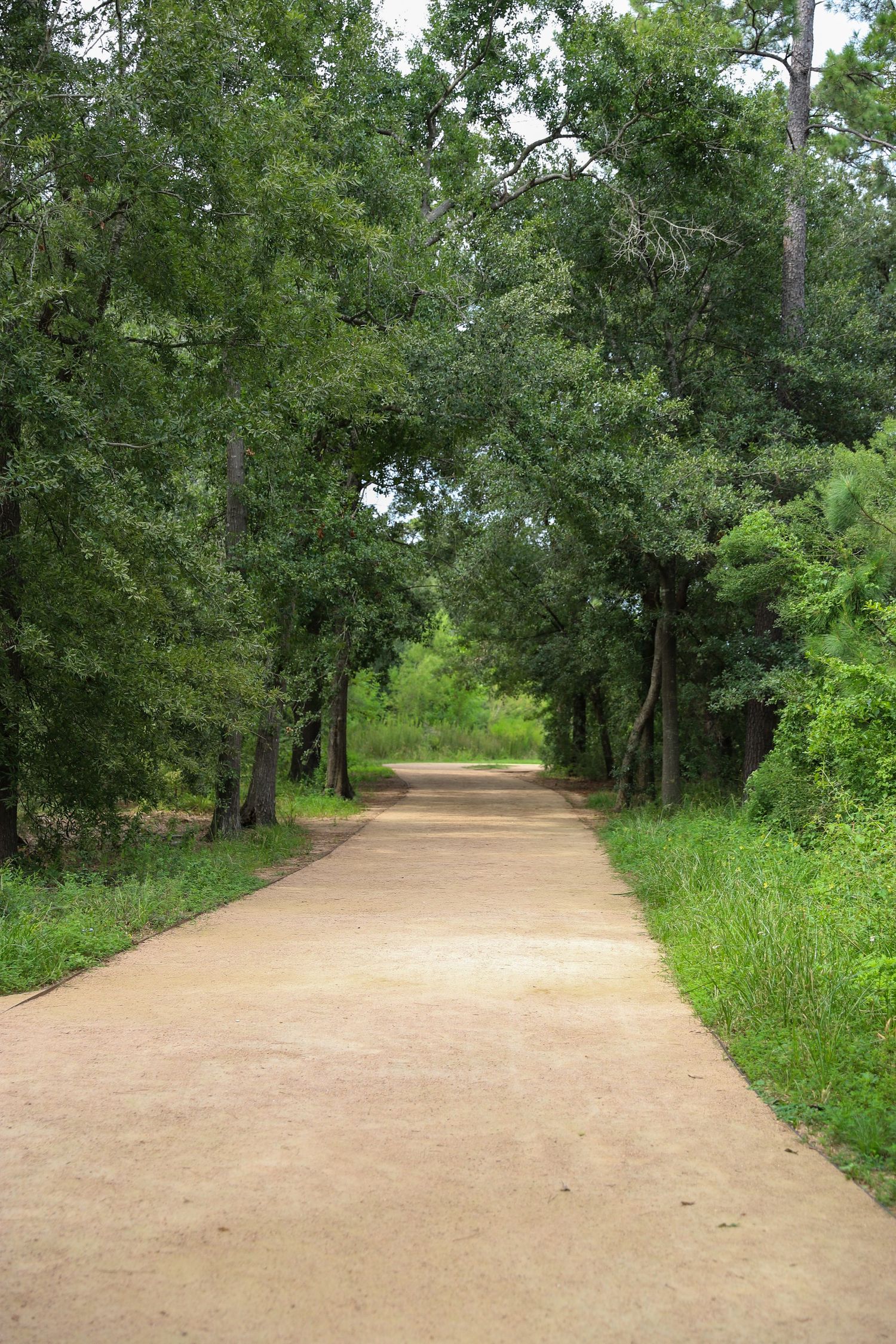 Memorial Park
Houston, TX