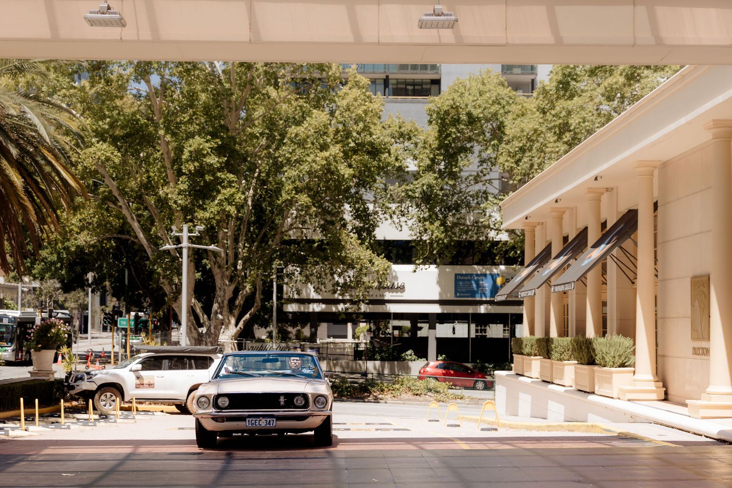 A row of classic white Chevrolet Corvette convertibles parked in a tree-lined area with buildings nearby.