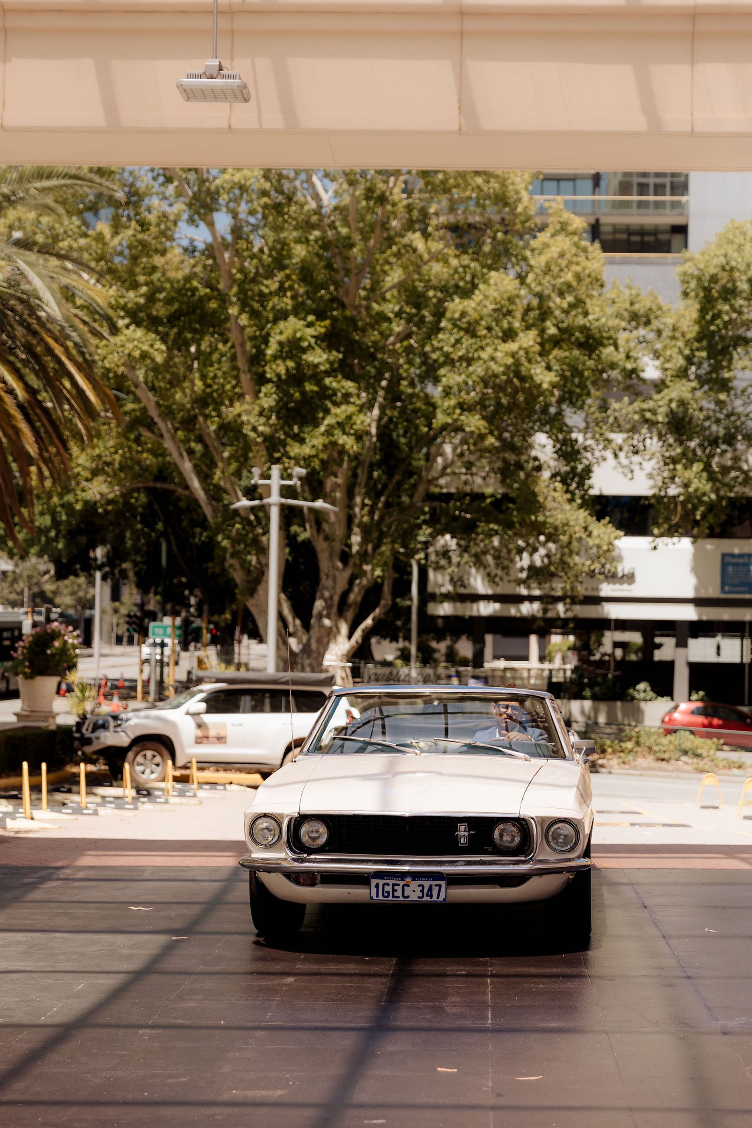 Classic white Ford Mustang convertible parked on a tree-lined street in front of buildings on a sunny day.