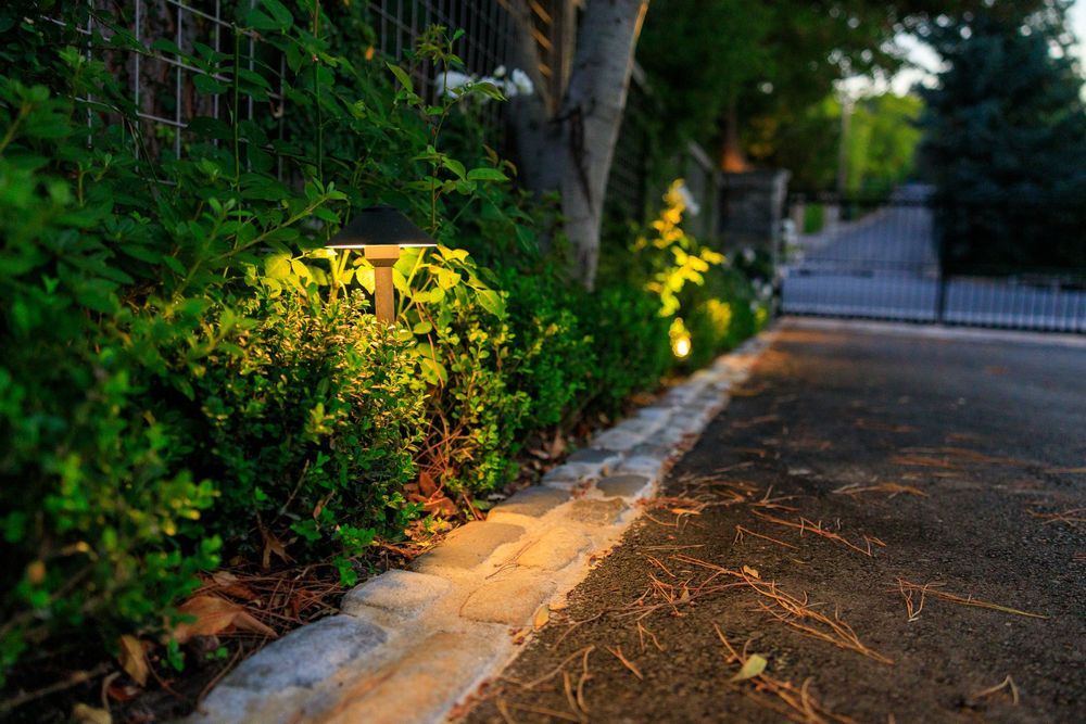 Garden stepping stones form a pathway through lush greenery with a decorative pattern of mixed materials.