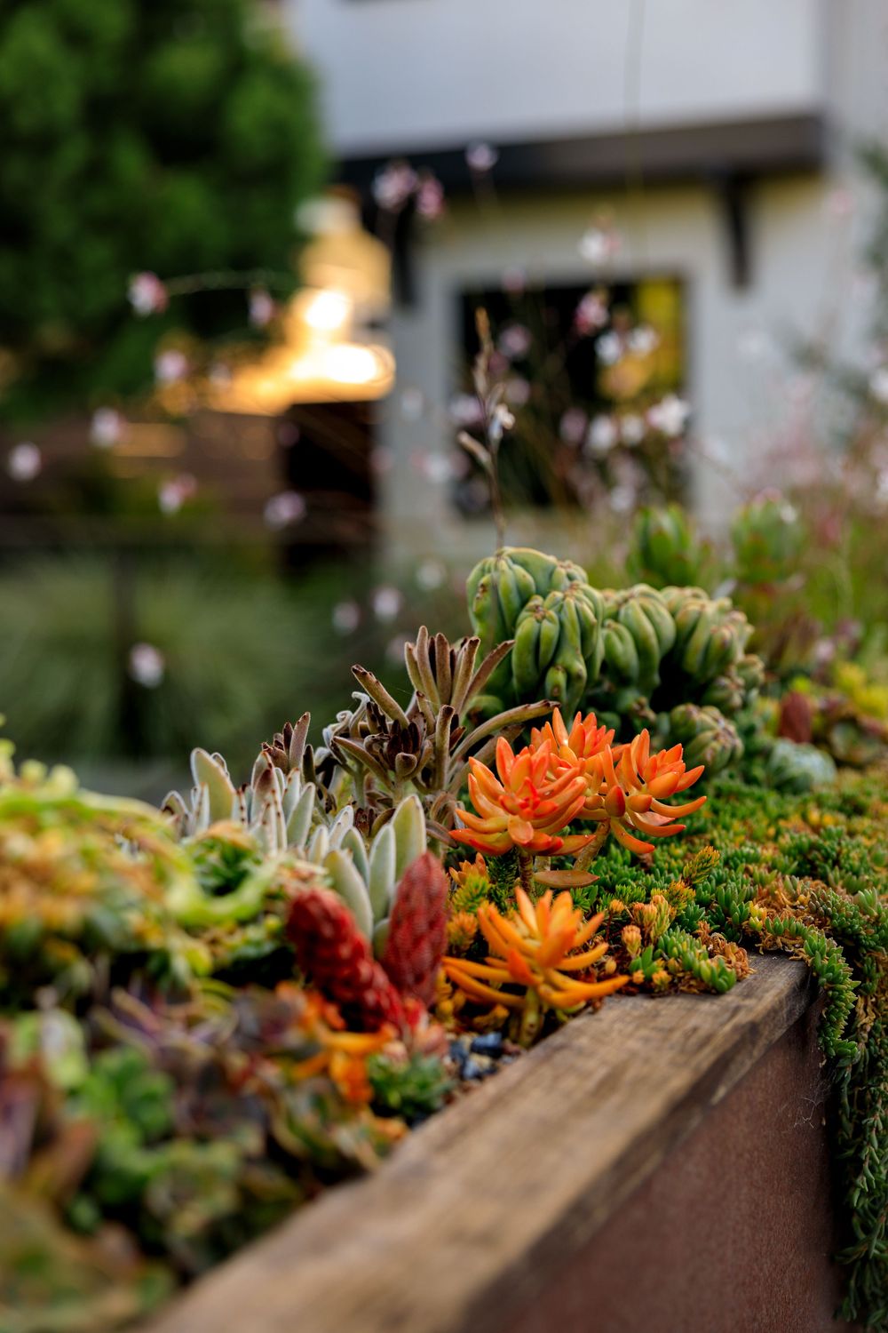 Succulent plants and orange flowers arranged in a rustic wooden planter box with natural moss accents.