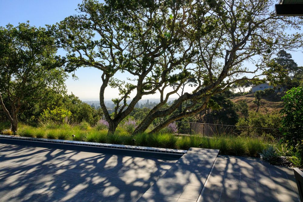 A winding coastal path lined with trees overlooks the ocean and distant mountains on a sunny day.