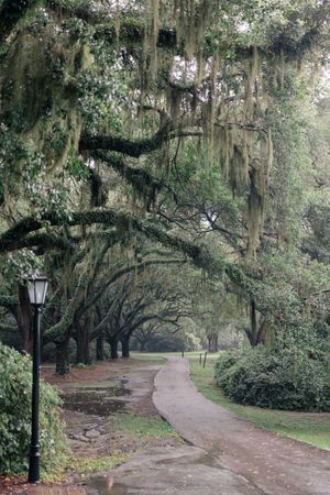 Charleston wedding photographer