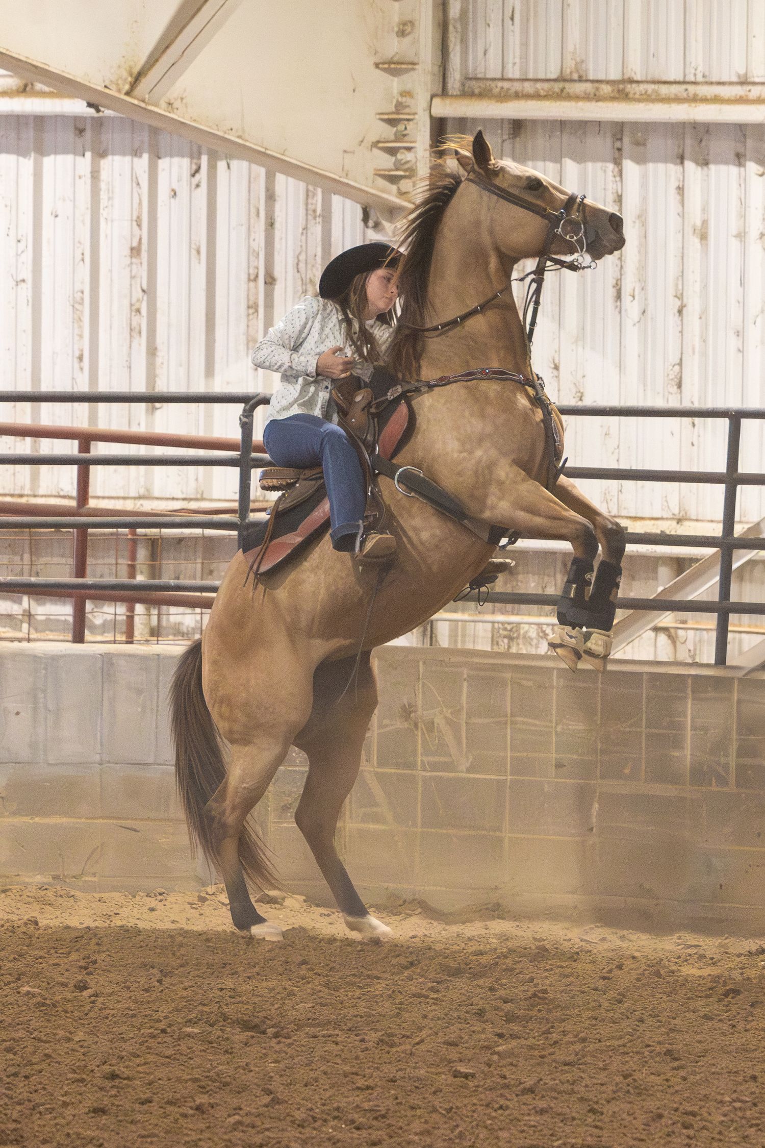 Cowboy riding horse for south Louisiana Mardi Gras celebration.