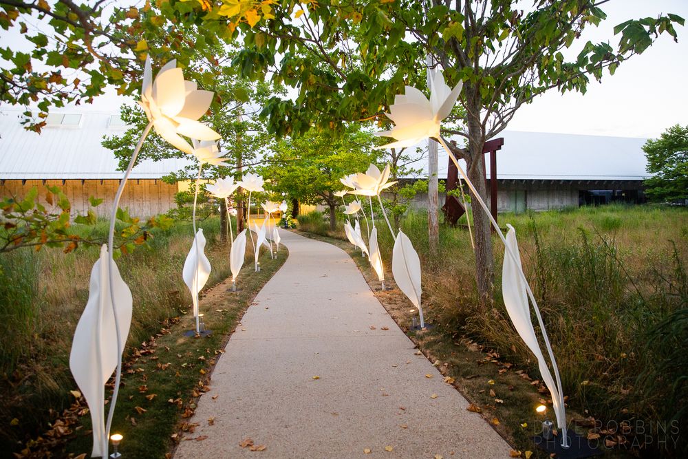 White fabric streamers hanging from trees line an outdoor wedding ceremony pathway.