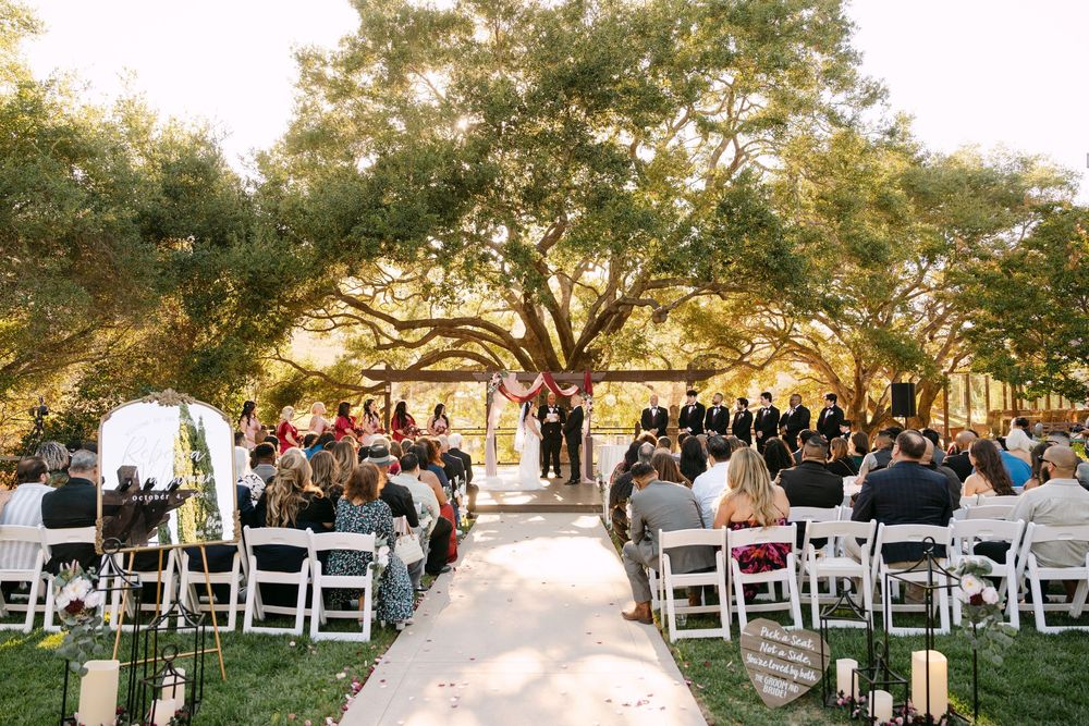 Outdoor wedding ceremony setup with white chairs under a canopy of oak trees at sunset.