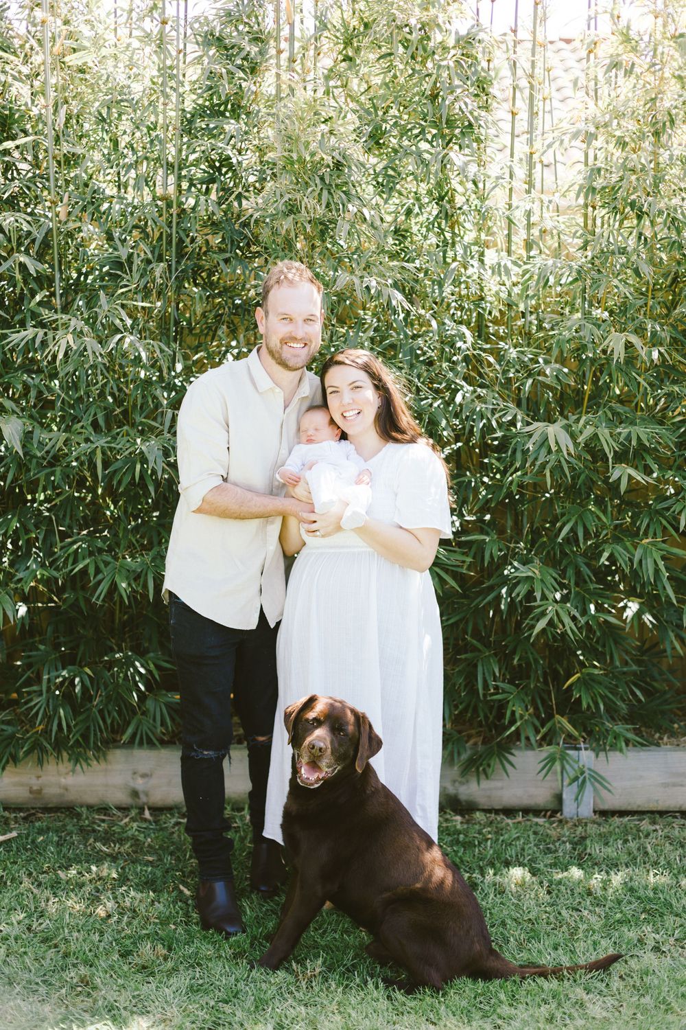 Happy family stands with their chocolate lab in front of tall bamboo plants.