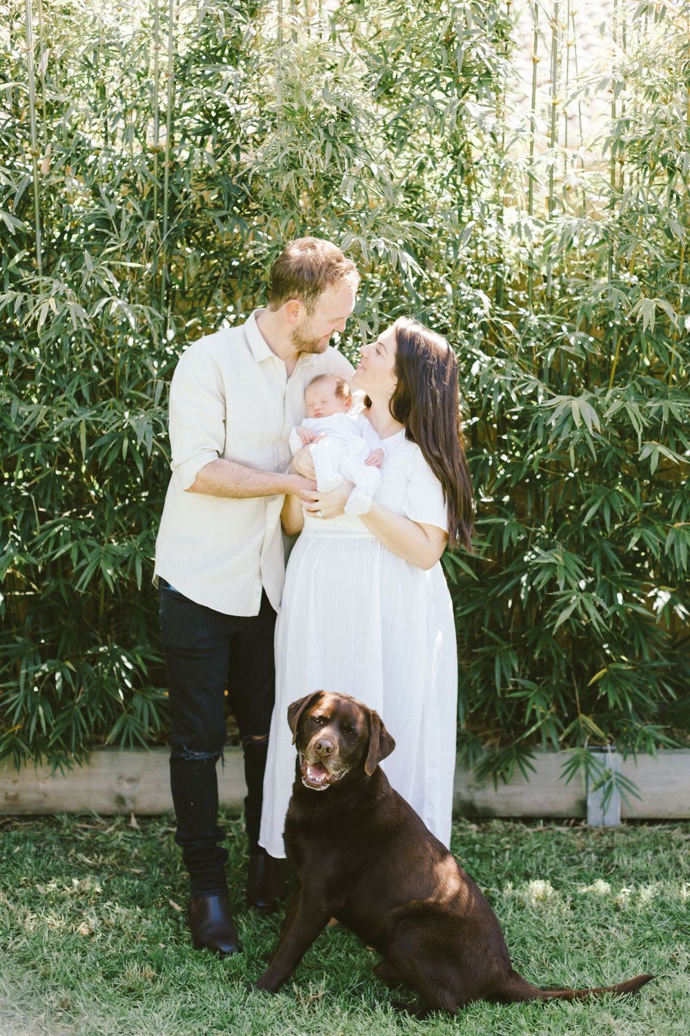 Family portrait with their newborn baby and chocolate lab dog in a bamboo garden.