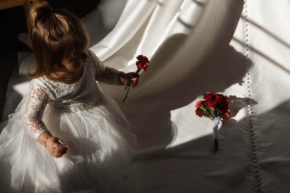 A child in a white lace dress twirls near a window casting dramatic shadows with red flowers in view.