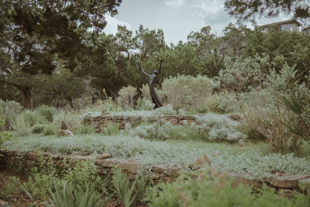 Natural desert landscape with native plants and shrubs under a blue sky.