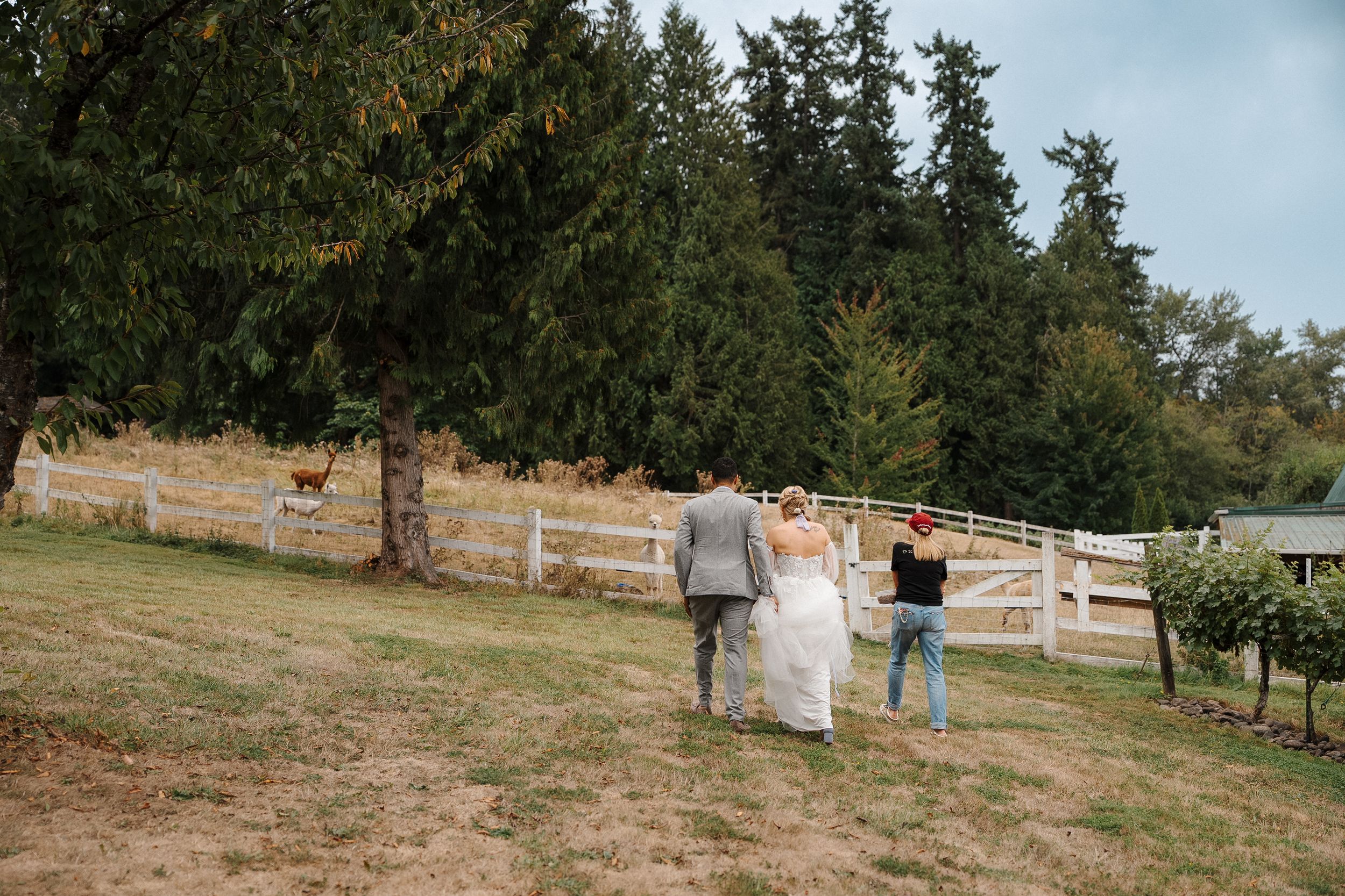 Couple walking together on a grassy hillside path with wooden fencing and trees in the background.