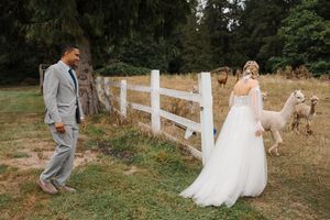 A couple in wedding attire shares a joyful moment by a white fence while dogs play in the background.