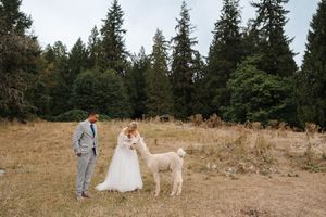 A couple and their dog stand together in a scenic mountain meadow surrounded by evergreen trees on a sunny day.