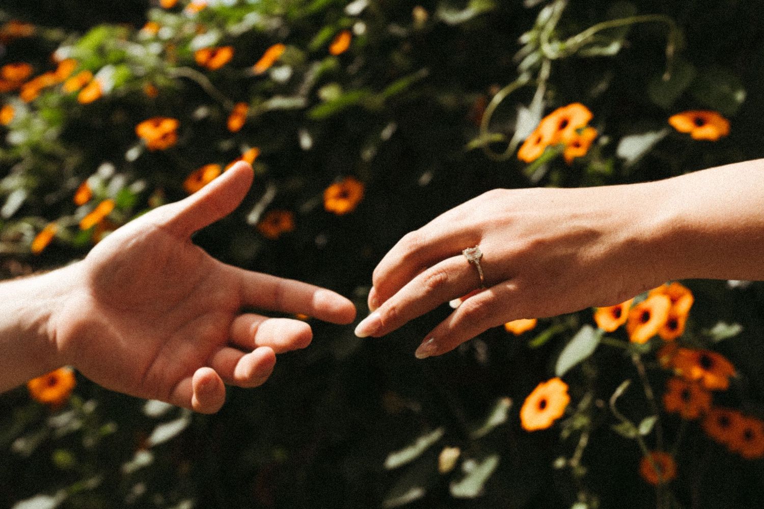 Hands reaching toward each other against a background of orange flowers and greenery.