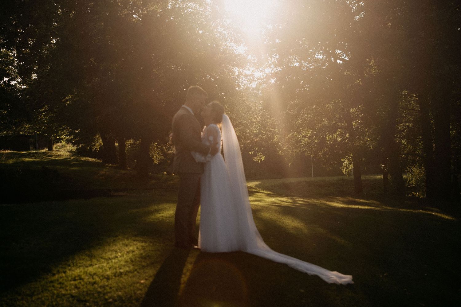 Silhouetted wedding couple embracing in warm evening sunlight with trees in the background.