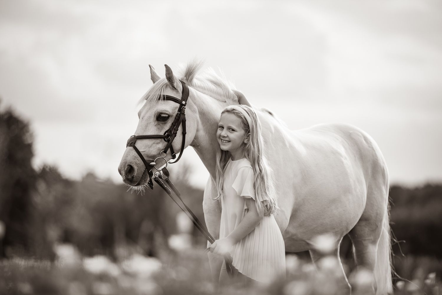 A series of seven photos showing a white horse and rider interacting at a wooden fence in an outdoor setting.