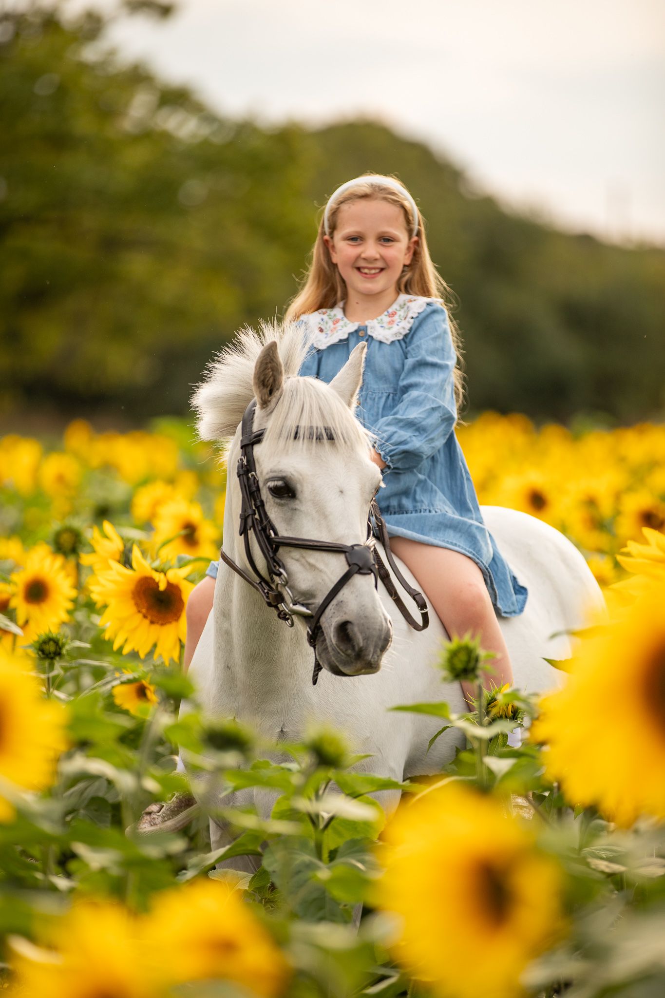 A beautiful black and white paint horse stands with a person on a sunny autumn day outdoors.
