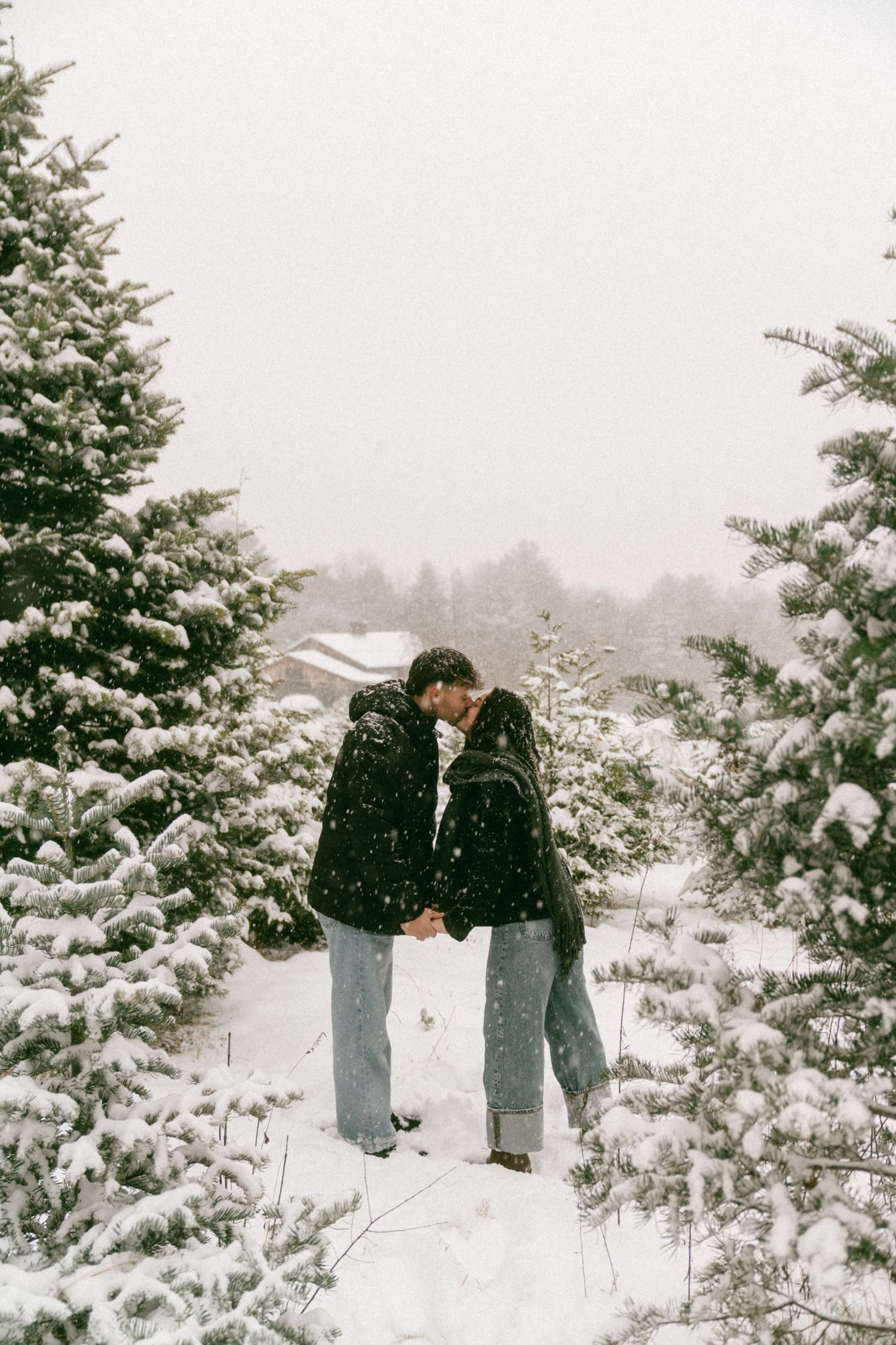 Two people share an intimate moment among snow-covered pine trees on a winter day.
