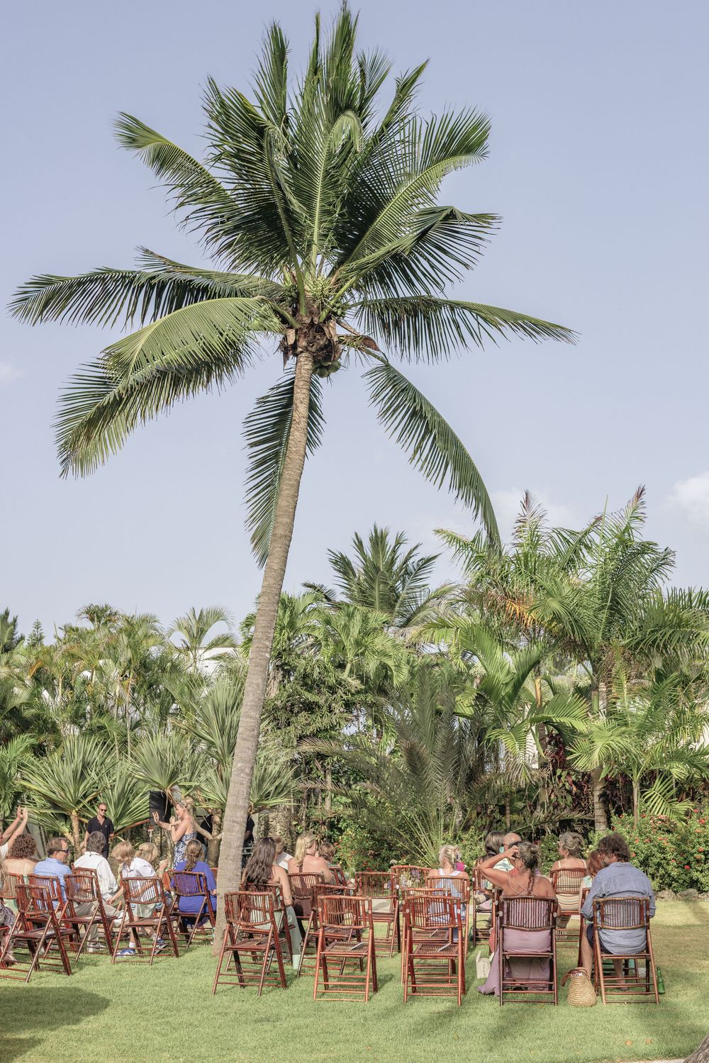 Wooden chairs arranged for an outdoor wedding ceremony under towering palm trees in a tropical garden setting.