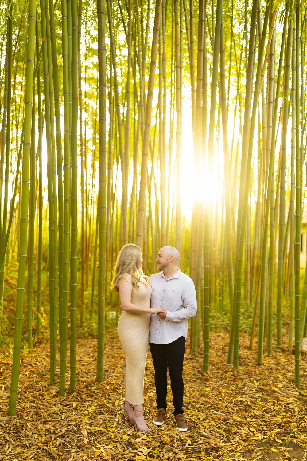 Couple walking through a bamboo forest with warm sunlight streaming through.