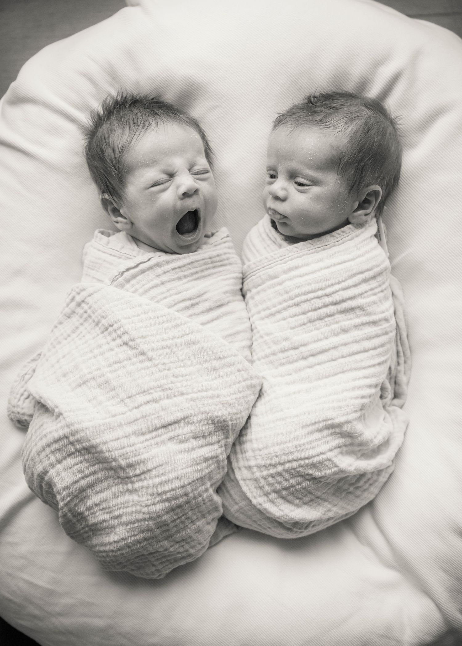 Four black and white photographs show newborn twins swaddled in matching blankets lying close together on white bedding.
