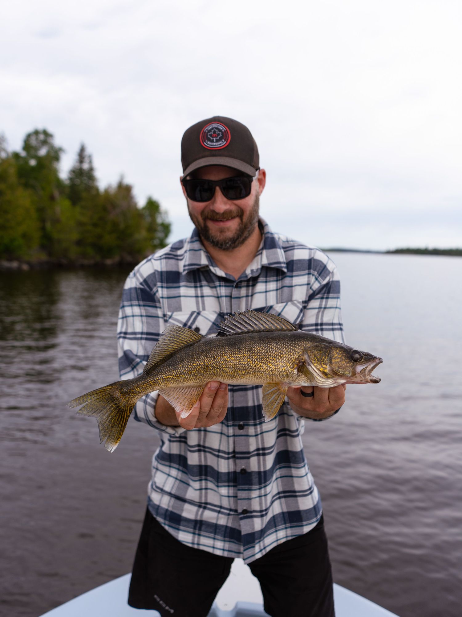 Angler displays caught walleye fish while standing on boat deck.