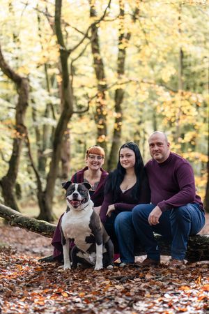 A family and their Boston Terrier dog sit together on fallen autumn leaves in a wooded setting.