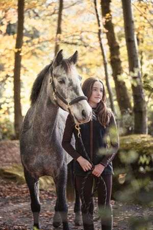 A dappled gray horse and companion stand together in an autumn forest with golden leaves overhead.