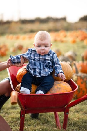 A small child wearing a plaid shirt sits on pumpkins in a red wagon at a pumpkin patch during autumn.