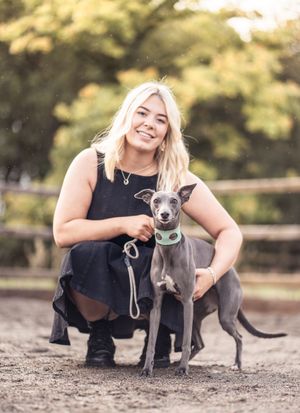 A series of playful portraits featuring an Italian Greyhound dog in an outdoor setting with autumn trees.