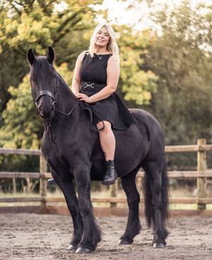 A series of photos showing a majestic black Friesian horse with flowing mane posing in a fenced outdoor arena.