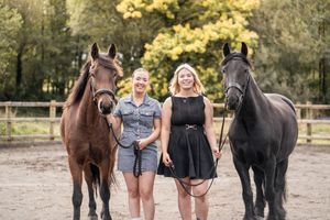 Two beautiful horses, one brown and one black, stand with their handlers in a sandy paddock during golden hour.