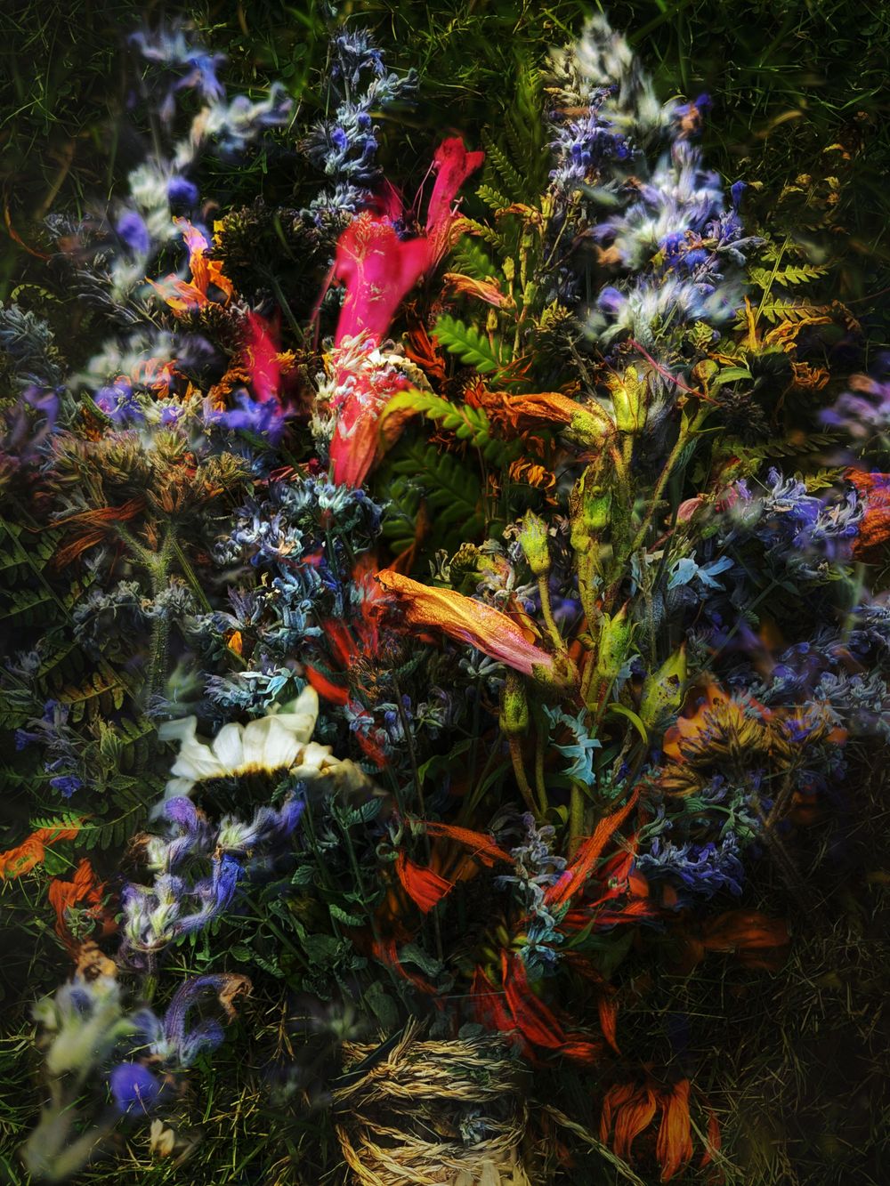 Artistic floral arrangement featuring vibrant orange lilies and delicate blue wildflowers against a dark background.