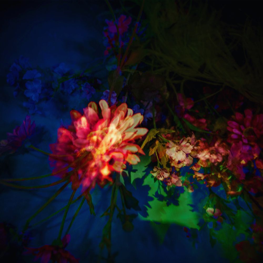 Colorful abstract floral arrangement with pink and orange flowers against a dark background with dramatic lighting.