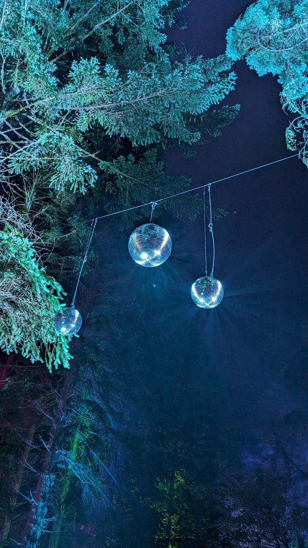 Glowing blue orb lights hang from tree branches against a dark night sky creating a magical forest atmosphere.