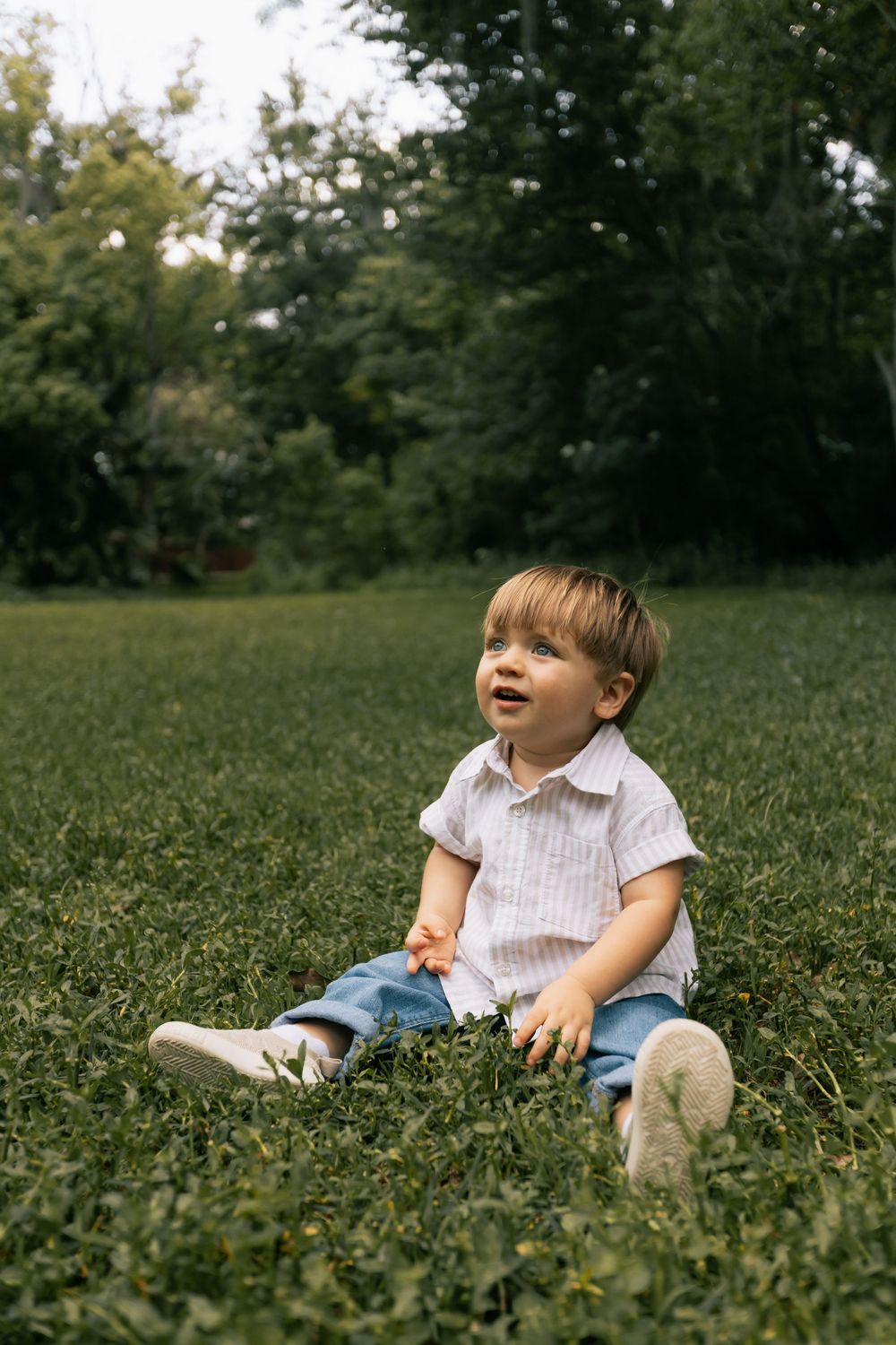 A toddler boy in a striped shirt and blue shorts sits on a green lawn looking up with trees behind him.