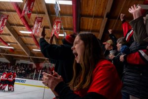 Hockey fans cheer enthusiastically in red jerseys from the stands during an intense game.