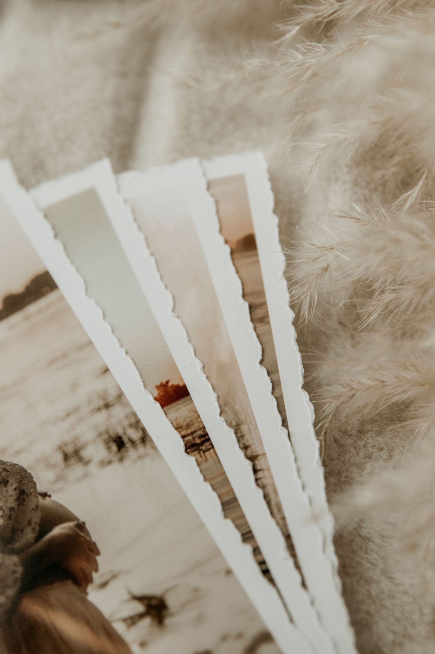 Torn white paper strips with deckled edges lay scattered against a soft, feathery textured background.