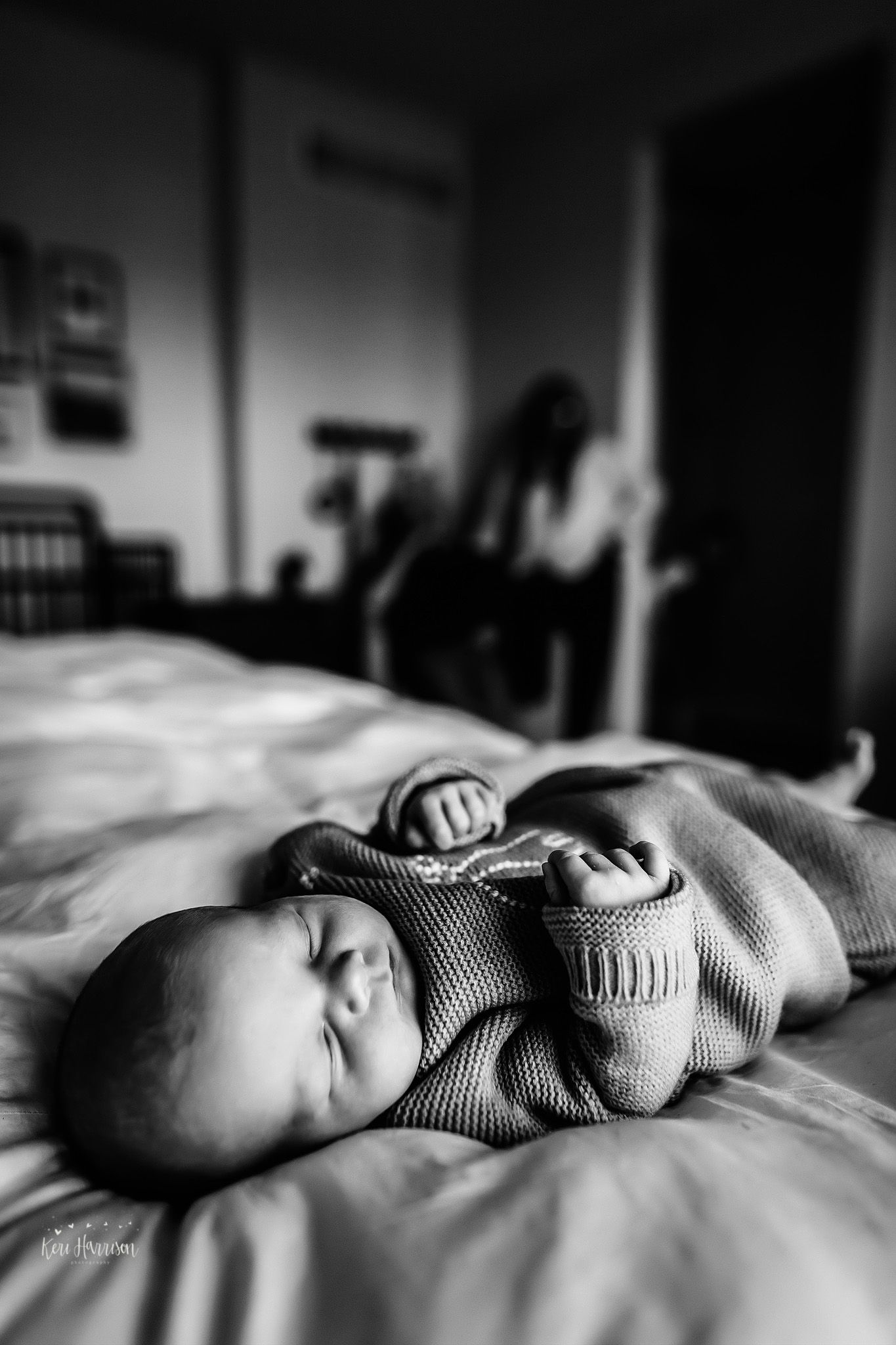 Ann Arbor Newborn Photographer