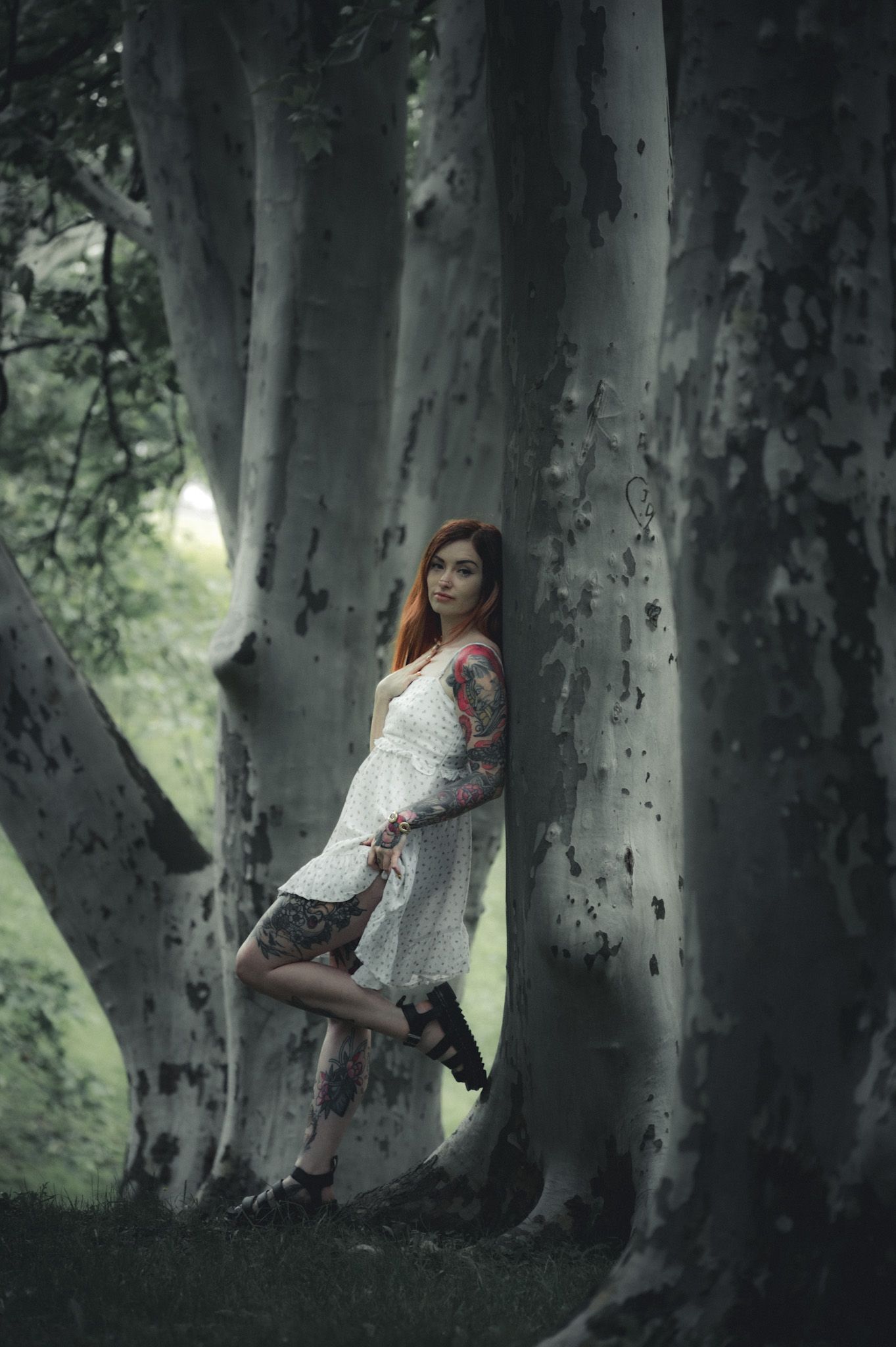 Artistic portrait series against large tree trunks in a misty forest setting.
