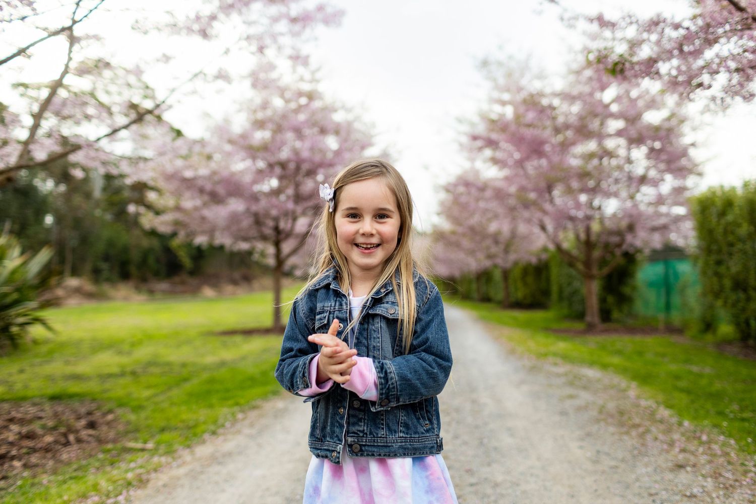 A cheerful person in a denim jacket stands on a pathway with beautiful pink cherry blossoms blooming in the background.